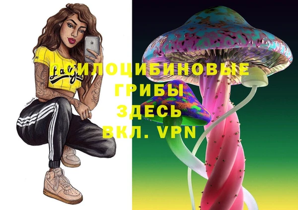 мяу мяу мука Белокуриха