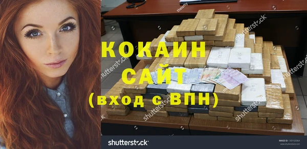 шишки Богородск